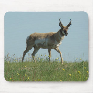A10 Pronghorn Antelope and Wildflowers Mouse Pad