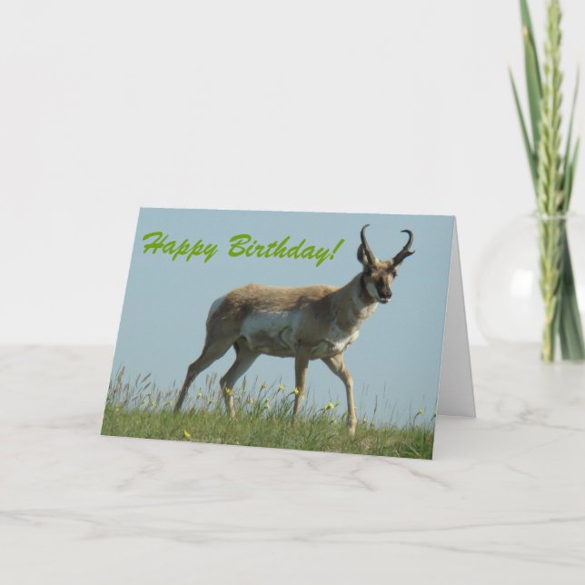A10 Pronghorn Antelope Walking Threw Wildflowers Card (Front)