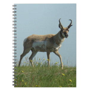 A10 Pronghorn Antelope Walking Threw Wildflowers Notebook