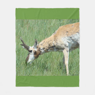 A11 Pronghorn Antelope Buck Grazing Fleece Blanket