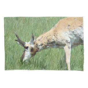 A11 Pronghorn Antelope Buck Grazing Pillowcase
