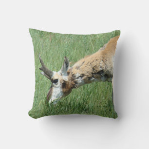 A11 Pronghorn Antelope Grazing Cushion