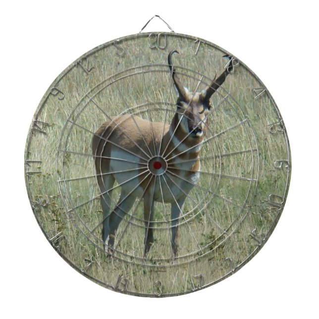 A13 Pronghorn Antelope Buck Dartboard (Front)
