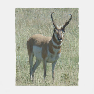 A13 Pronghorn Antelope Buck Fleece Blanket