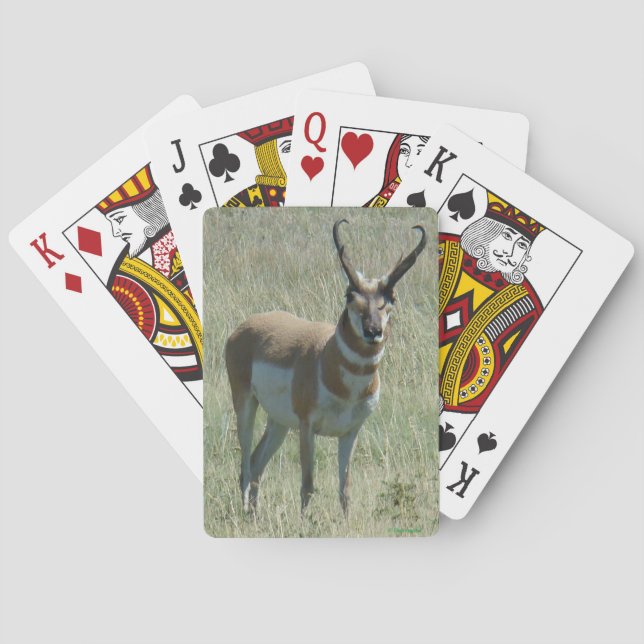 A13 Pronghorn Antelope Buck Playing Cards (Back)