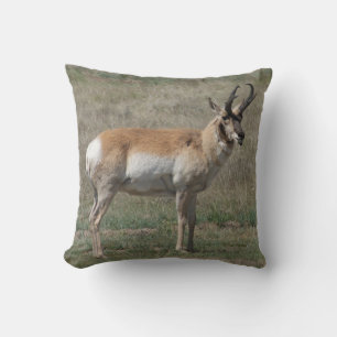 A15 Pronghorn Antelope Rude Buck Cushion