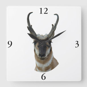 A19 Pronghorn Antelope Dark Face Buck Head Shot Square Wall Clock