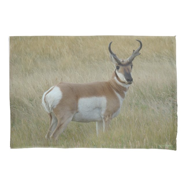 A1 Pronghorn Antelope Big Buck Pillowcase (Front)