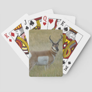 A1 Pronghorn Antelope Big Buck Playing Cards