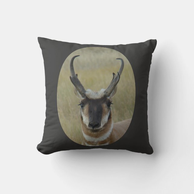 A20 Pronghorn Antelope Head Cushion (Front)
