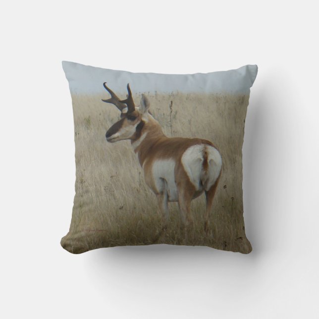 A22 Pronghorn Antelope Buck Cushion (Front)