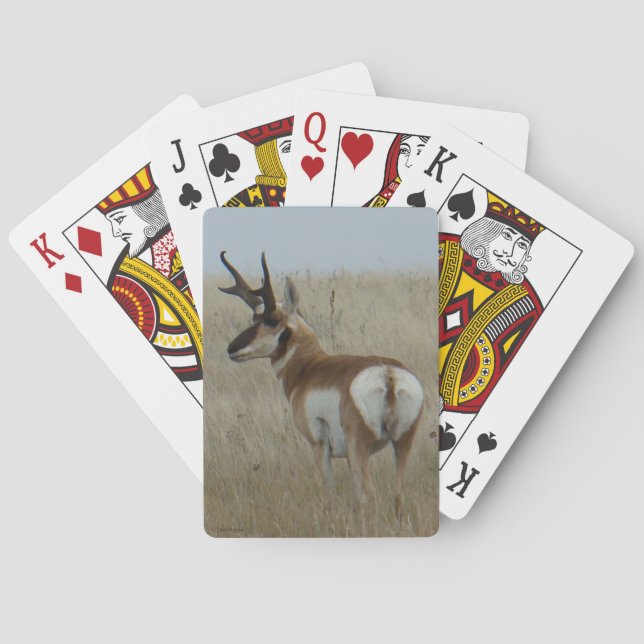 A22 Pronghorn Antelope Buck Playing Cards (Back)