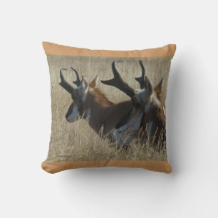 A23 Pronghorn Antelope Cushion