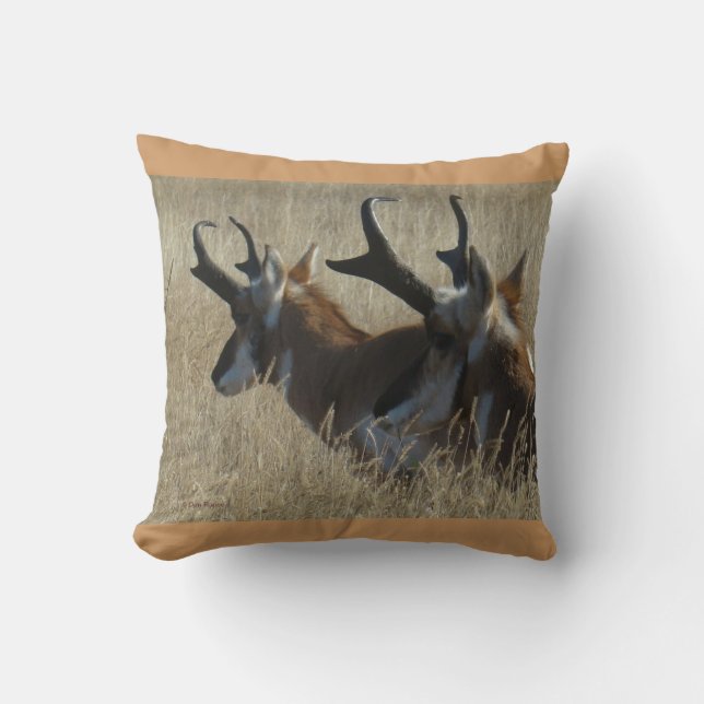 A23 Pronghorn Antelope Cushion (Front)
