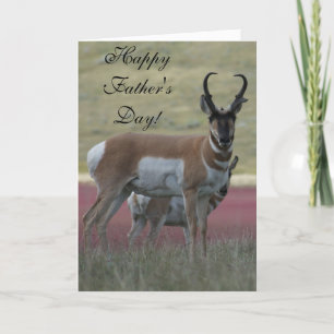 A24 Pronghorn Antelope Buck Card
