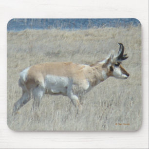 A25 Antelope Buck Mouse Pad