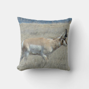 A25 Pronghorn Antelope Young Buck Cushion