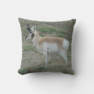 A26 Pronghorn Antelope Buck Cushion