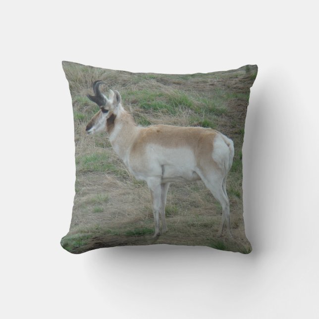 A26 Pronghorn Antelope Buck Cushion (Front)