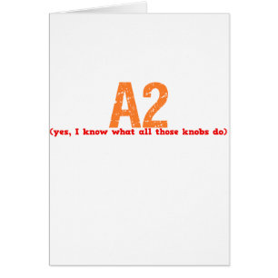 A2 Job Description
