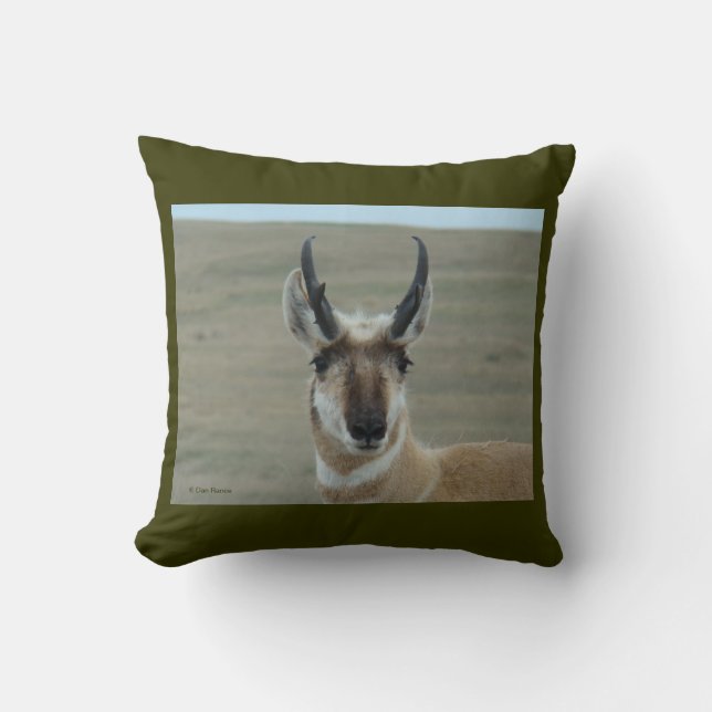 A30 Pronghorn Antelope Head Cushion (Front)