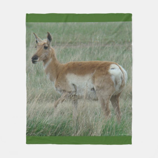 A31 Pronghorn Antelope Doe Fleece Blanket (Front)