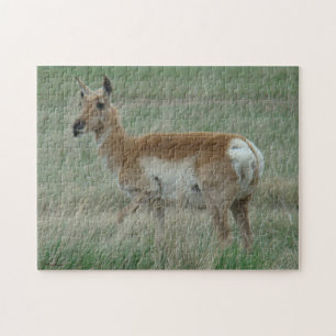 A31 Pronghorn Antelope Doe Jigsaw Puzzle
