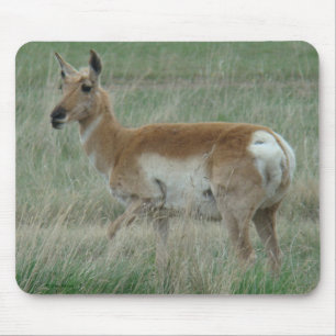 A31 Pronghorn Antelope Doe Mouse Pad