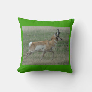 A32 Pronghorn Antelope Buck Cushion
