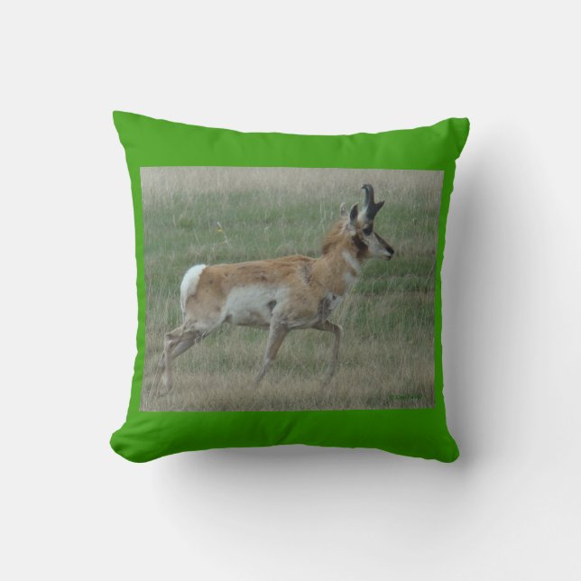 A32 Pronghorn Antelope Buck Cushion (Front)