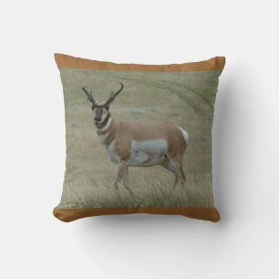 A33 Pronghorn Antelope Crooked Horns Cushion