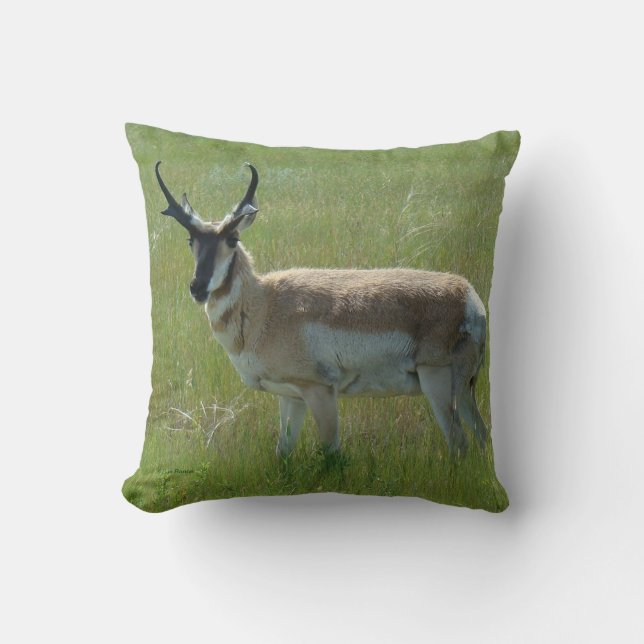 A36 Pronghorn Antelope Buck Cushion (Front)