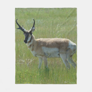 A36 Pronghorn Antelope Buck Fleece Blanket