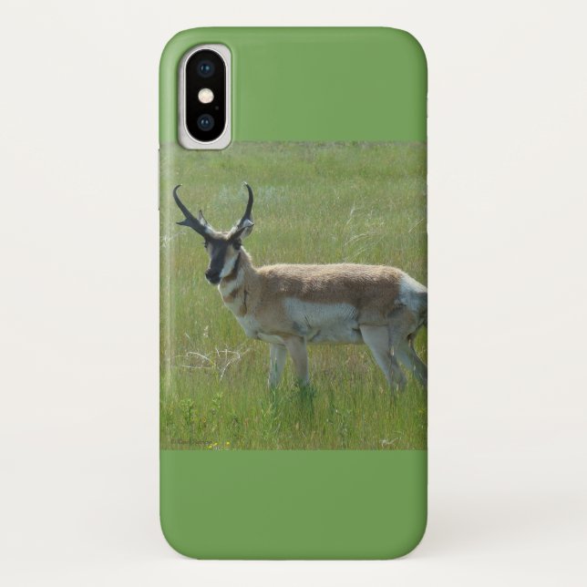 A36 Pronghorn Antelope Case-Mate iPhone Case (Back)