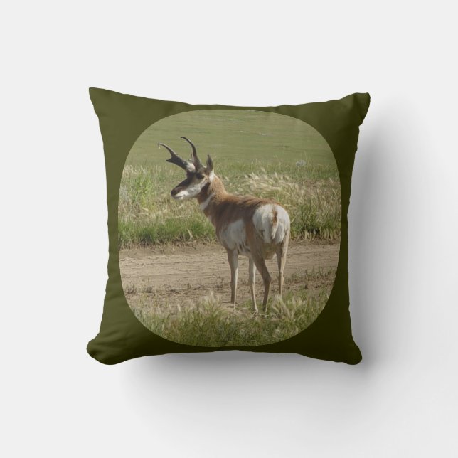A39 Pronghorn Antelope Buck Cushion (Front)