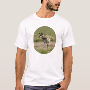 A39 Pronghorn Antelope Buck T-Shirt