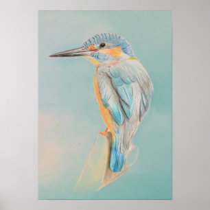 A3 Beautiful Kingfisher Pencil Drawing Print