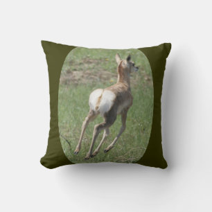 A40 Baby Pronghorn Antelope Cushion