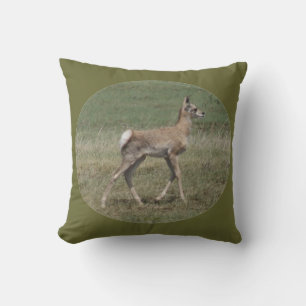 A42 Baby Pronghorn Antelope Cushion
