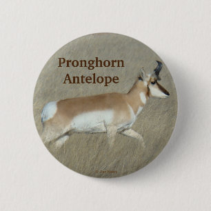 A44 Pronghorn Antelope Buck 6 Cm Round Badge