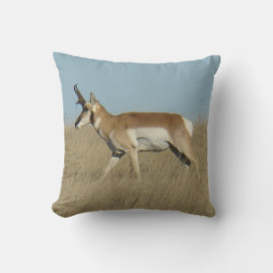 A45a Pronghorn Antelope Buck Cushion