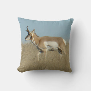 A45b Pronghorn Antelope Buck Cushion