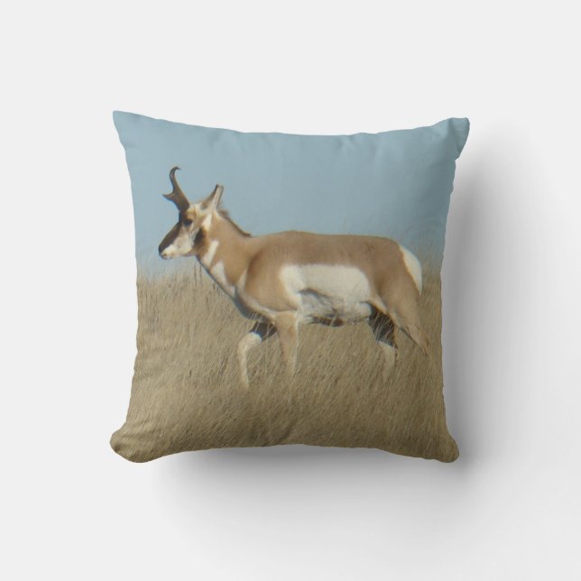 A45b Pronghorn Antelope Buck Cushion (Front)
