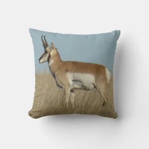 A46 Pronghorn Antelope Cushion