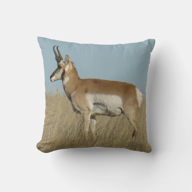 A46 Pronghorn Antelope Cushion (Front)