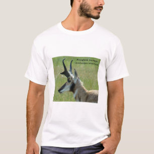 A47 Pronghorn Antelope Big Buck Head Profile T-Shirt