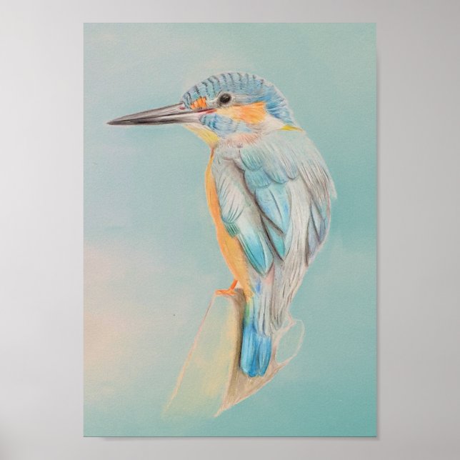 A4 Beautiful Kingfisher Pencil Drawing Print (Front)