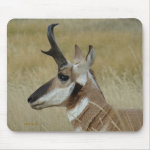A4 Pronghorn Antelope Head Profile Mouse Pad