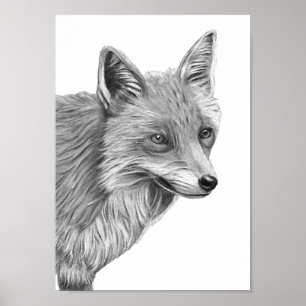 A4 Red Fox Pencil Drawing Print monochrome 