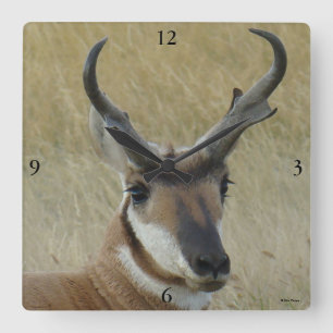 A5 Pronghorn Antelope Big Buck Head Shot Square Wall Clock